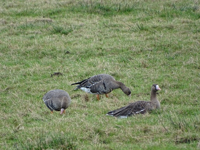 凭借彼此间 凭借彼此间