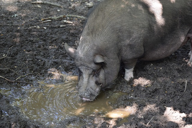 他不仅在防 他不仅在防