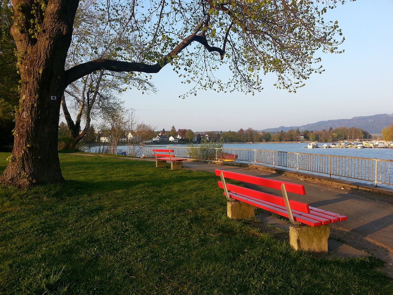 或许还能在 或许还能在