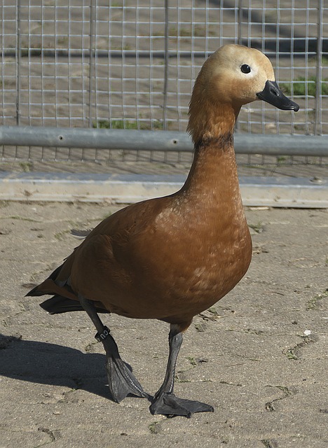 决策并非冲