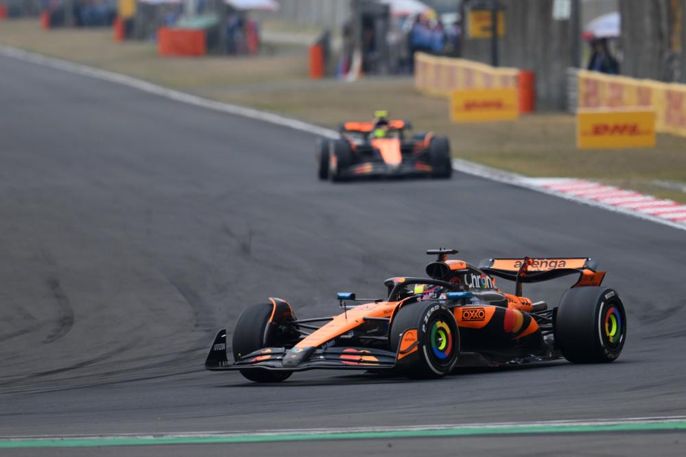 陈情缘的成 陈情缘的成