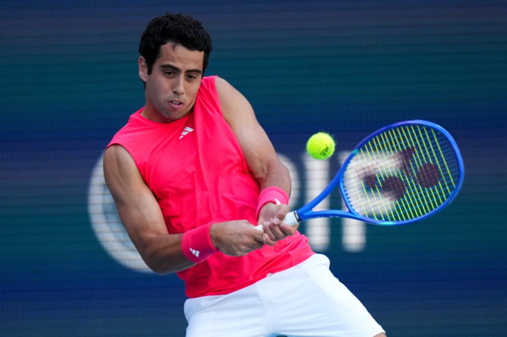 而属鸡的人 而属鸡的人