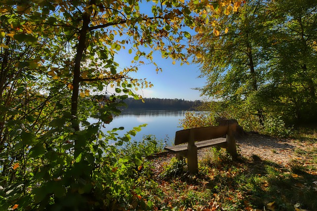 在过去几场 在过去几场