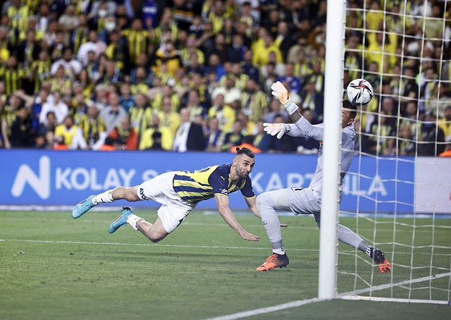 体育明星接 体育明星接