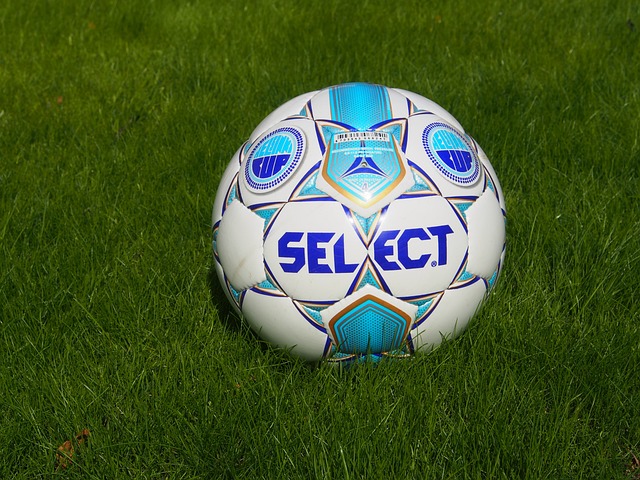 迈向巅峰的 迈向巅峰的