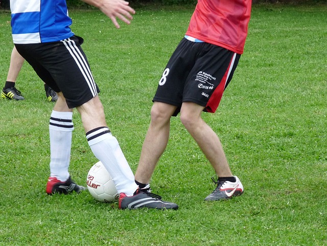 體現了他對 體現了他對